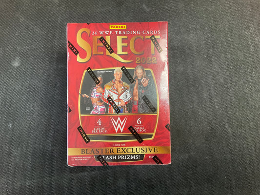 2022 Select WWE