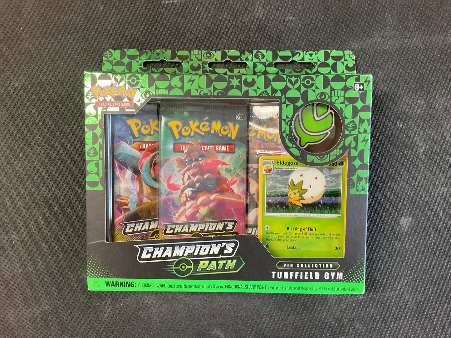 Pokemon champions path turf field gym